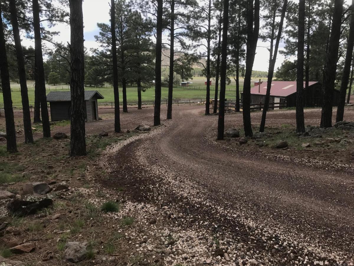 Grand Canyon 1Bd Loft/Suite-Horseback Riding-Shooting-Dogs Ok! Parks Zewnętrze zdjęcie