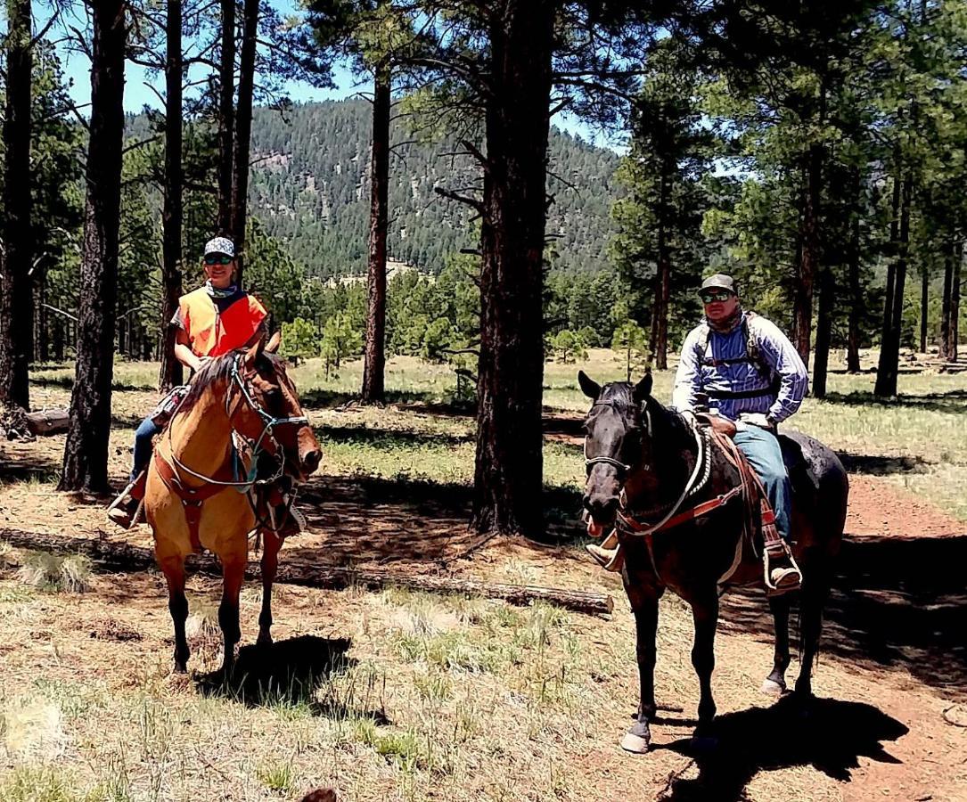 Grand Canyon 1Bd Loft/Suite-Horseback Riding-Shooting-Dogs Ok! Parks Zewnętrze zdjęcie